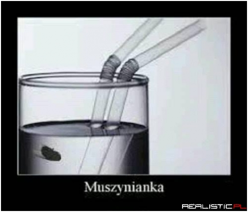 Nigdy jej nie lubiłem