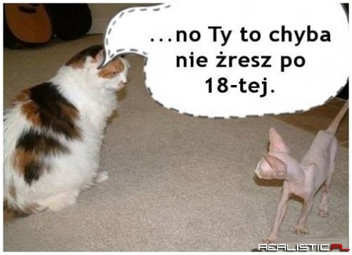 No raczej ;)
