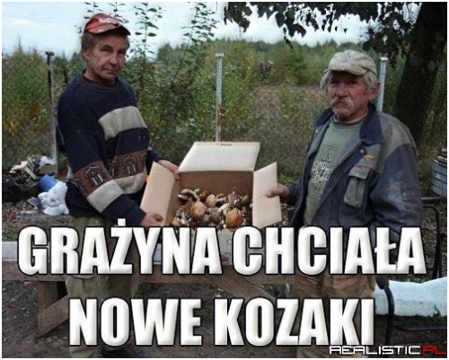 Nowe kozaki