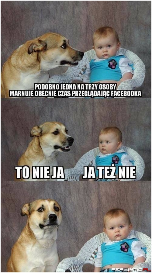 Pies to nie osoba :P