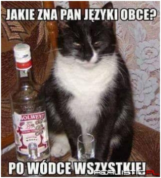 Poliglota jak mój Szwagier