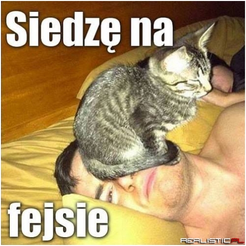 Słodziak