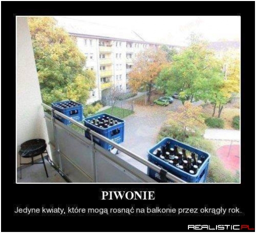 Tak samo jak Petunie xD