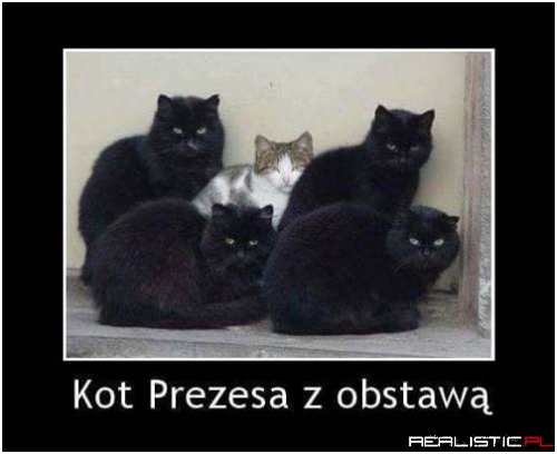 Taka obstawa ;)
