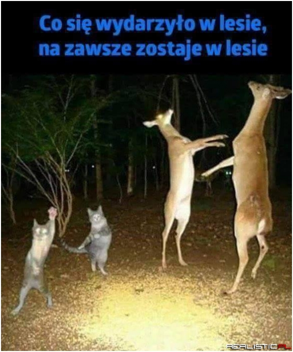 To było party!