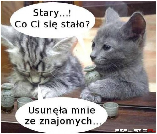 Załamka