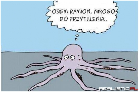 Bidulek