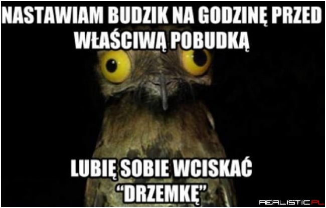Drzemka