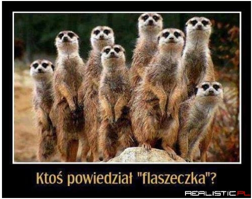 Dwa razy nie trzeba powtarzać ;)