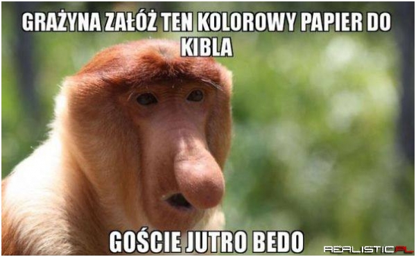 Goście przyjeżdżają ;)