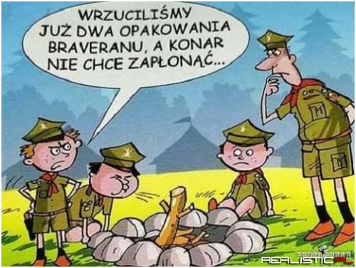 Harcerze od siedmiu boleści..