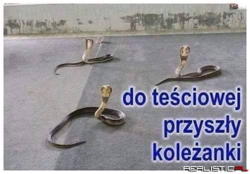 Koleżanki xD