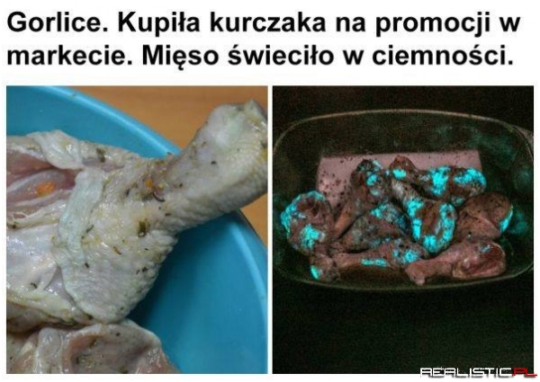 Kura błękitnej krwi