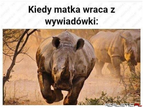 Może nie aż, ale owszem...