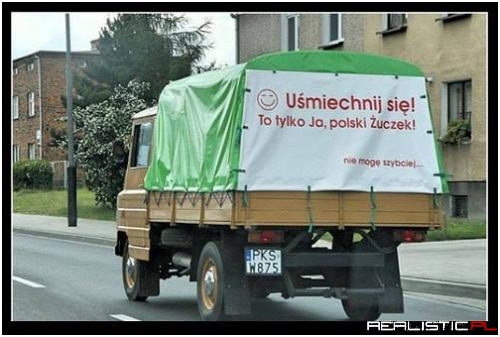 Polski żuczek ;)