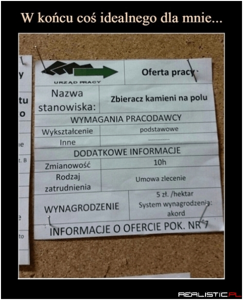 Robota jak robota xD