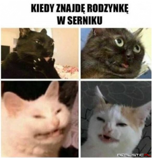 Rodzynka w serniku
