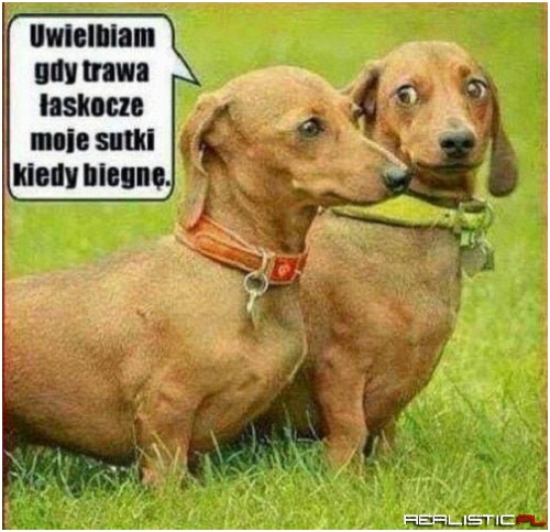 Uwielbiam xD