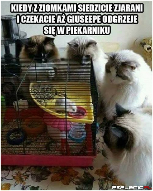 xD