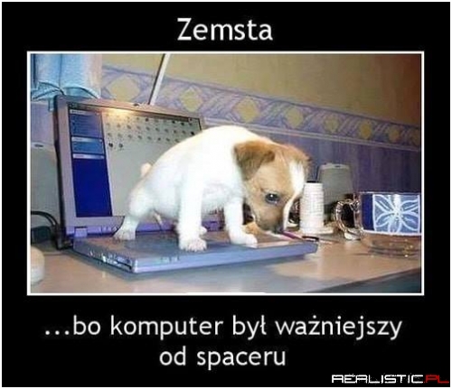 Zemsta psiaka
