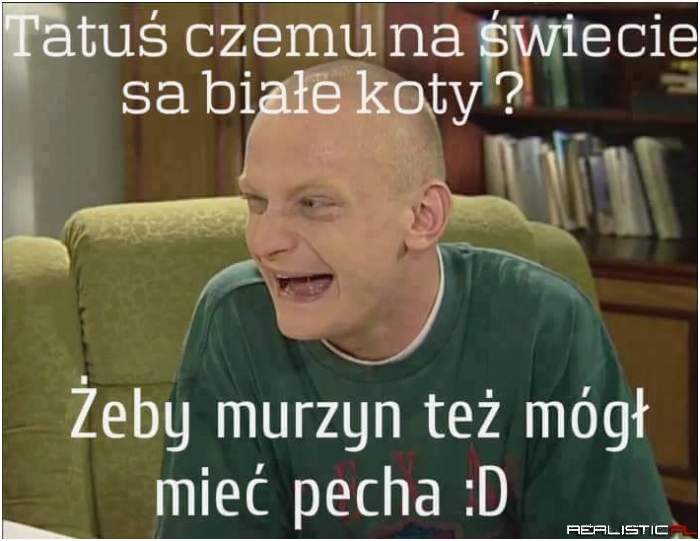 Białe koty