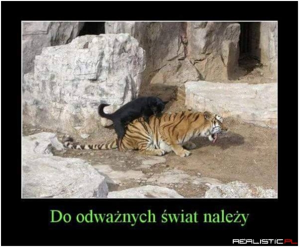 Brawo za odwagę xD