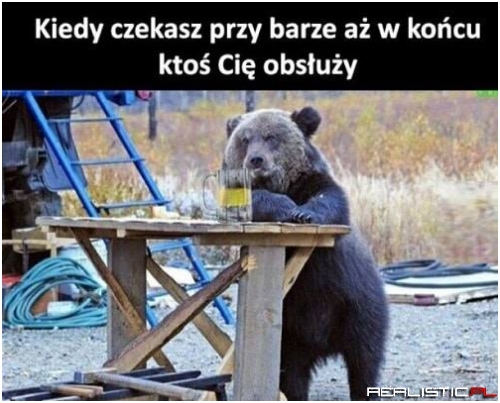 Czeka na zająca ;)