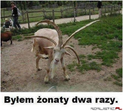 Do trzech razy sztuka