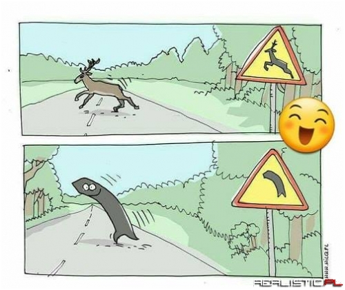 Dobre xD