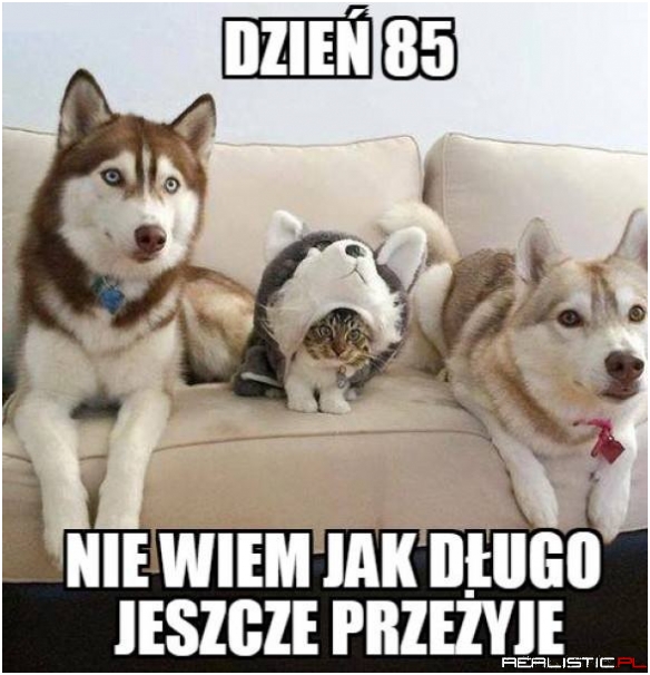 Dzień 85