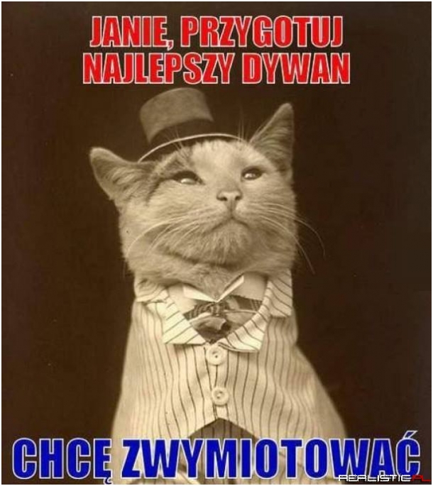 Janie dywan proszę
