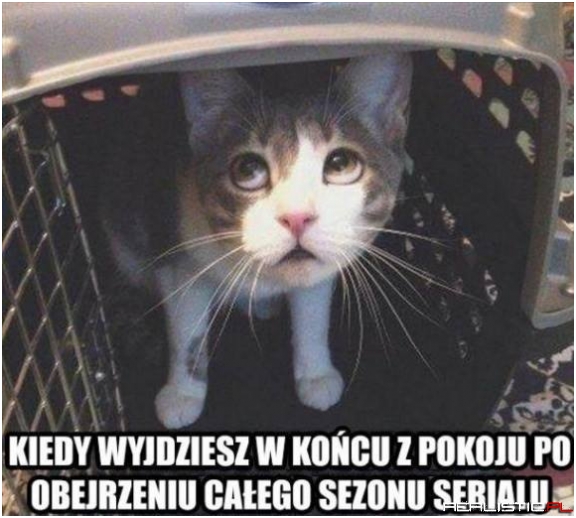 Koniec serialu