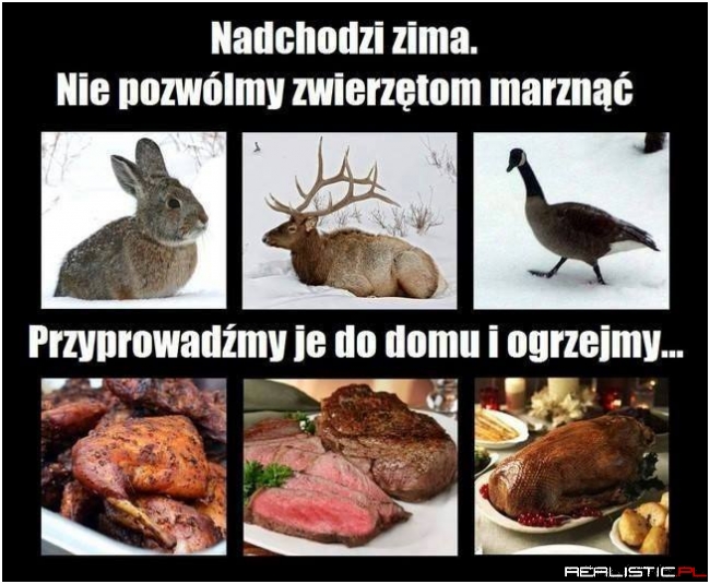 Nadchodzi zima...
