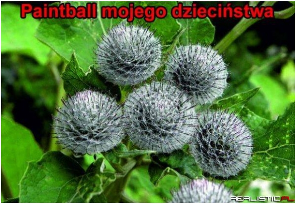 Paintball