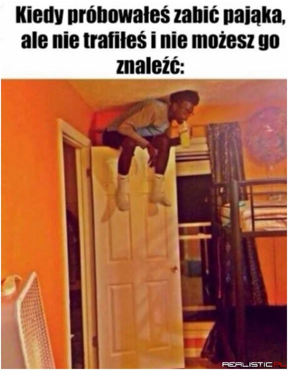 Pająki...