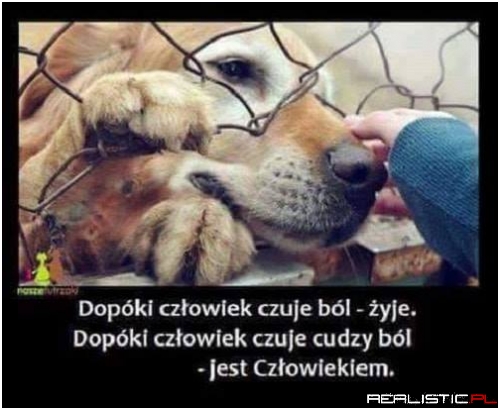 Prawda!