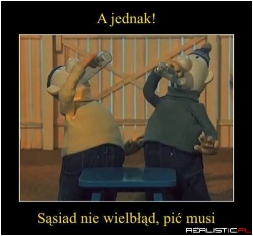 Sąsiad xD