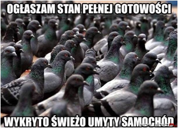 Stan pełnej gotowości