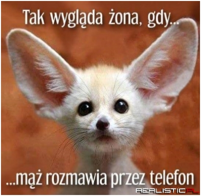Tak wygląda żona