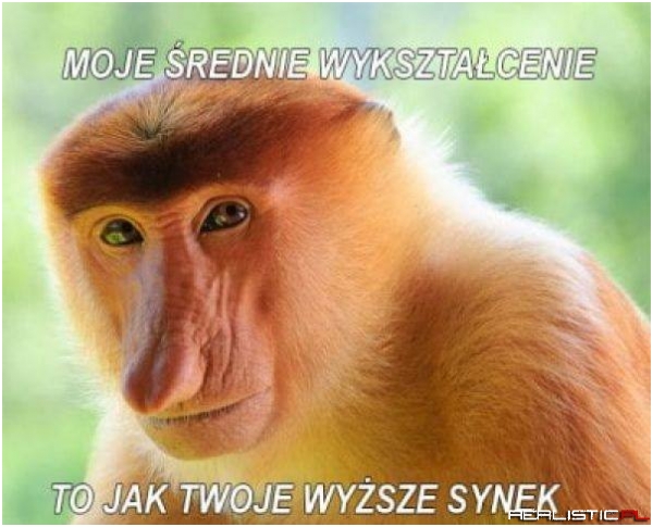Wykształcenie