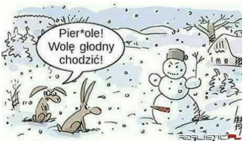 Zając z charakterem