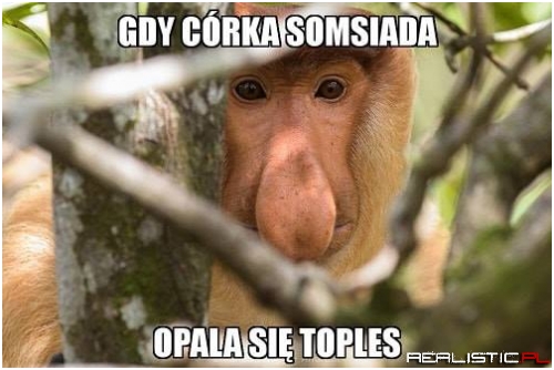 Zawsze warto rzucić okiem ;)