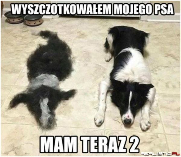 2 w 1