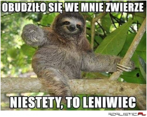 Idę spać ;)