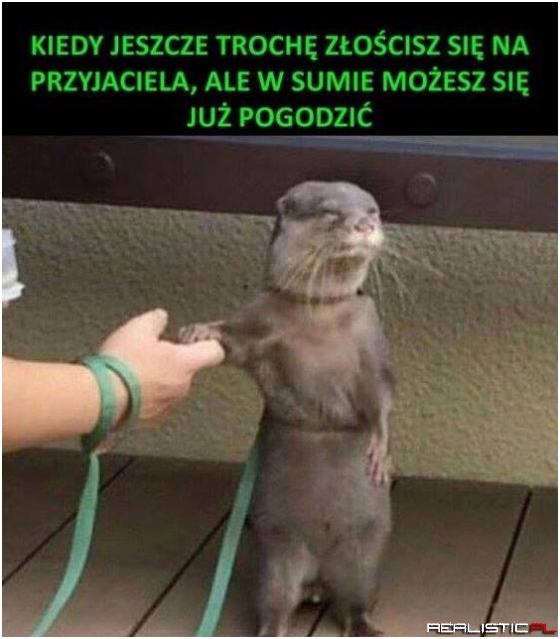 Jest tak