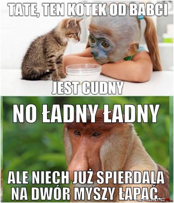 Koteł xD
