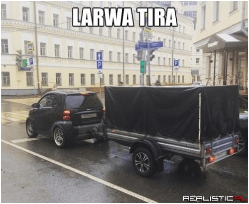 Larwa tira