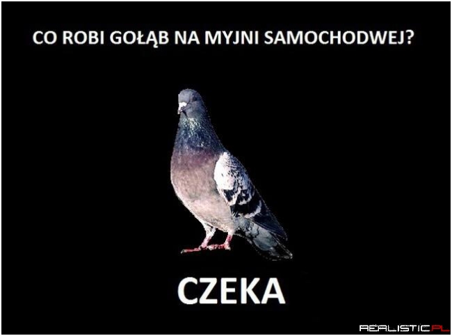 Niech tylko spróbuje...