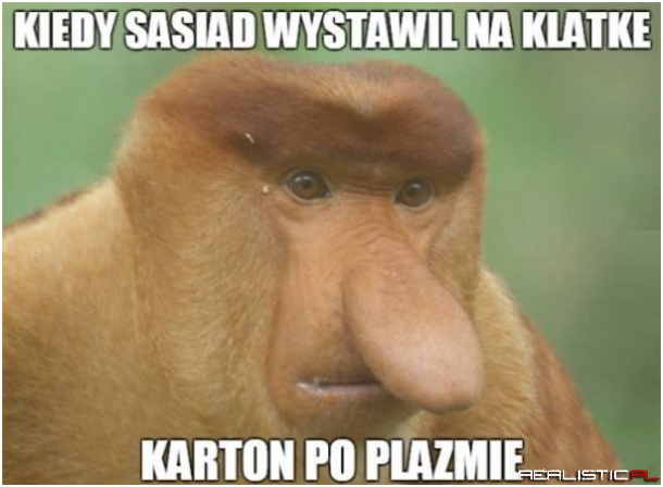 Nowa plazma