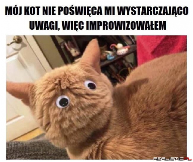 Taka improwizacja